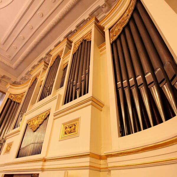 Даниэль Зарецкий