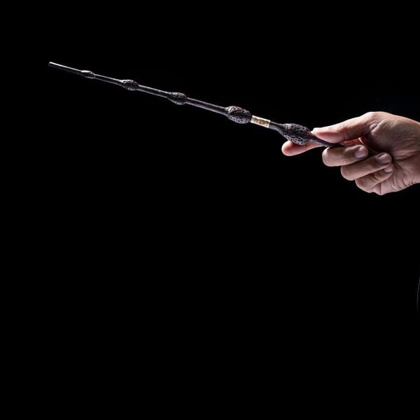 Оркестр Sonorus. Гарри Поттер