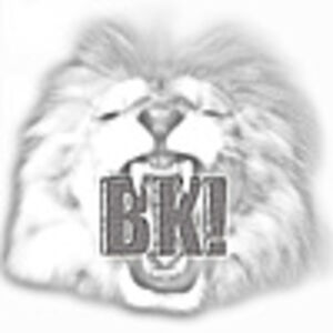 Boris Khludnev & BK!