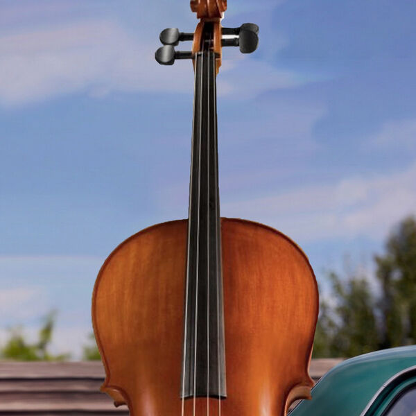 Lana Del Rey в исполнении струнного оркестра