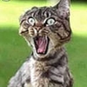 СПЕКТОР ГЛАЗА