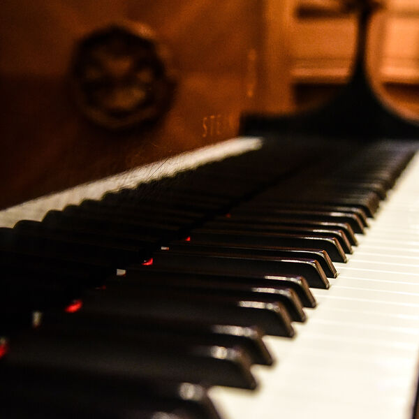 Карнавал животных. Музыка К. Сен-Санса