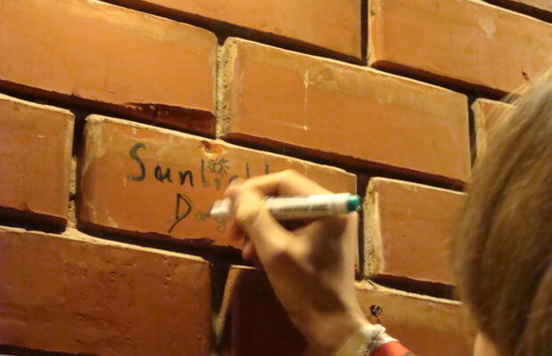 Фотографии Sunlight day