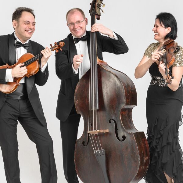 Музыкальный зоопарк от Контрабас-квартета