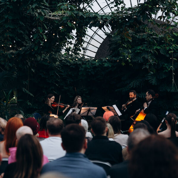 Магия свечей. От Вивальди до Эйнауди при свечах в оранжерее