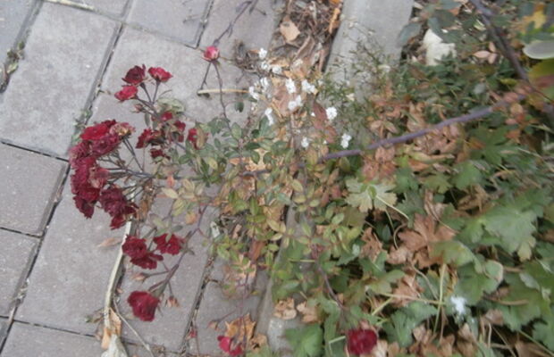 Октябрьский