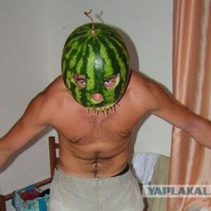 Лицеёский GANG