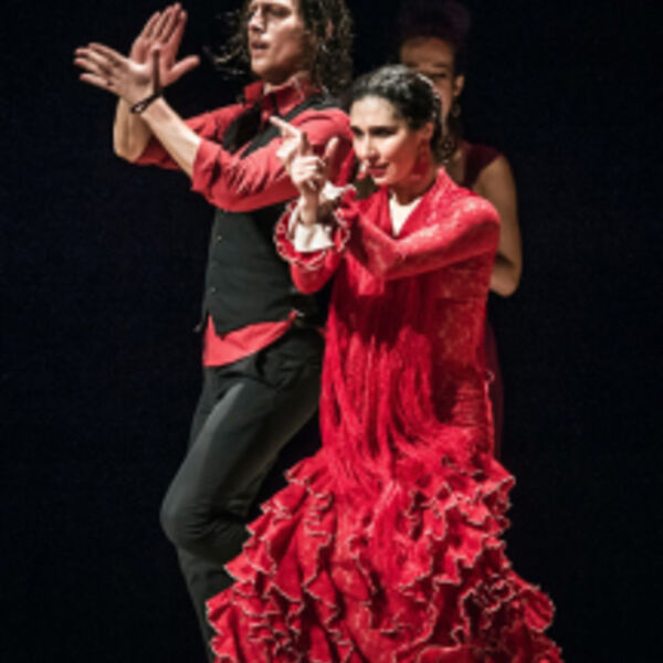 Flamenco  Capriccios