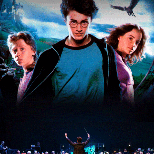 Оркестр в соборе «Harry Potter Symphony»