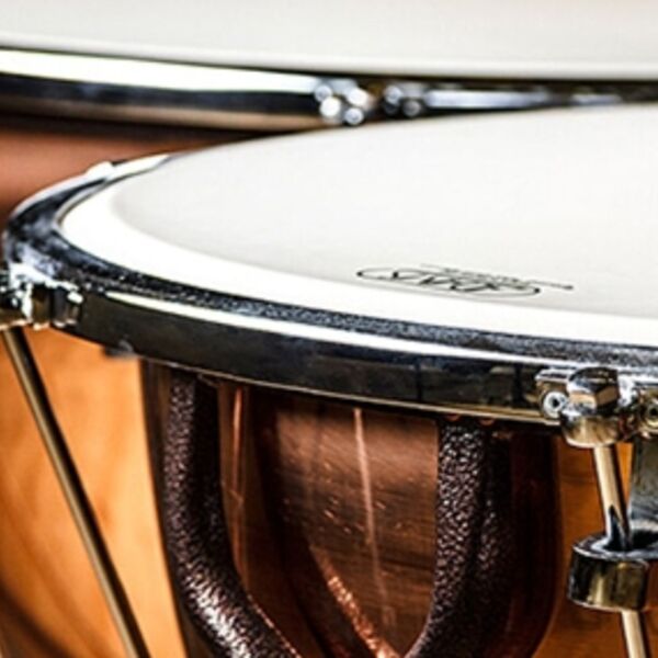 Придворная армия ударных