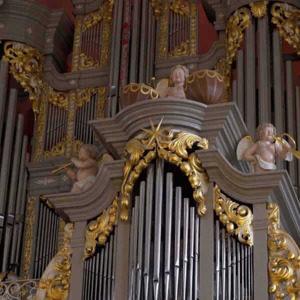 Всероссийский день органа