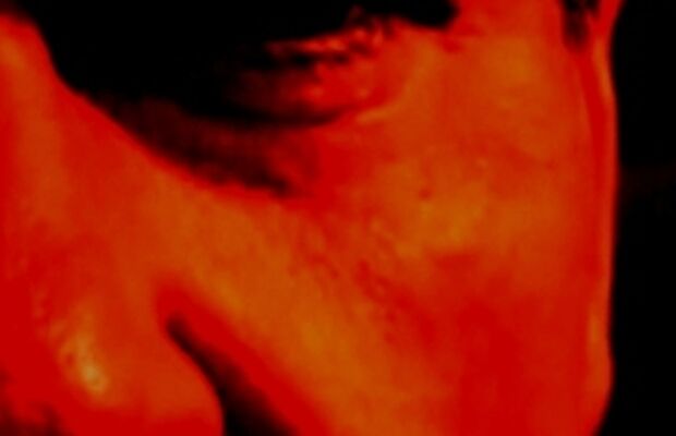 Третье насекомое