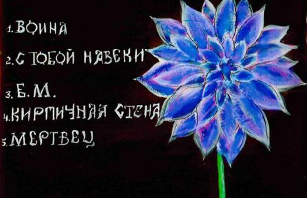 Просвет (covers)