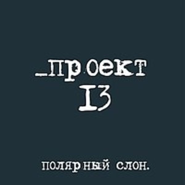 Проект 13