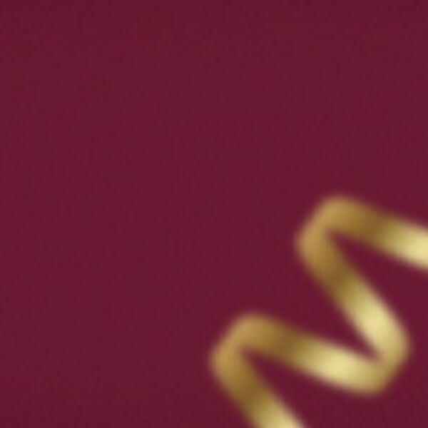 Рождество с Григорием Лепсом