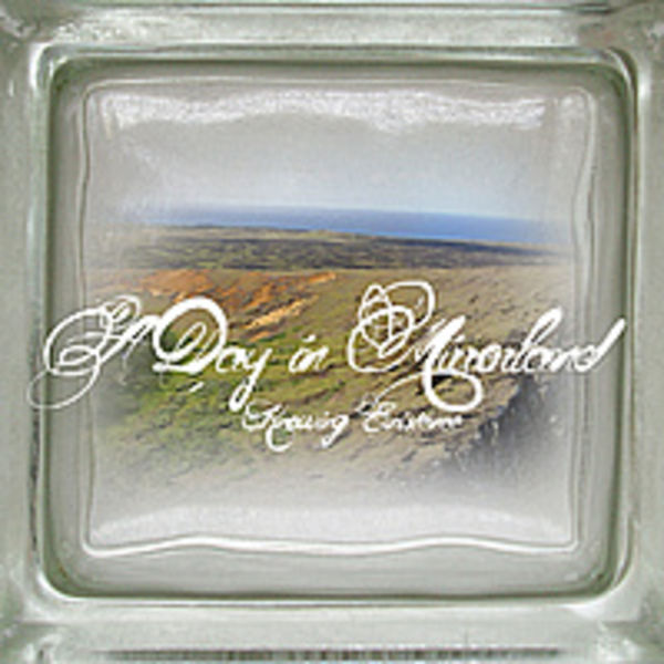 A Day in Mirrorland