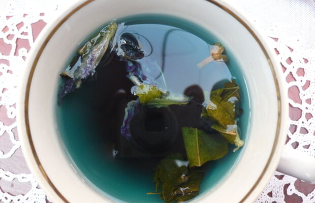 Акустические гастроли