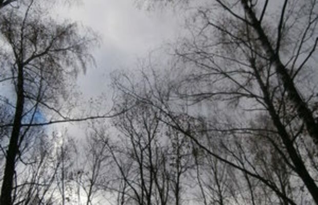 Октябрьский