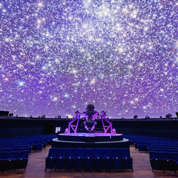 Рок-симфония в темноте «Орган & Виолончель»