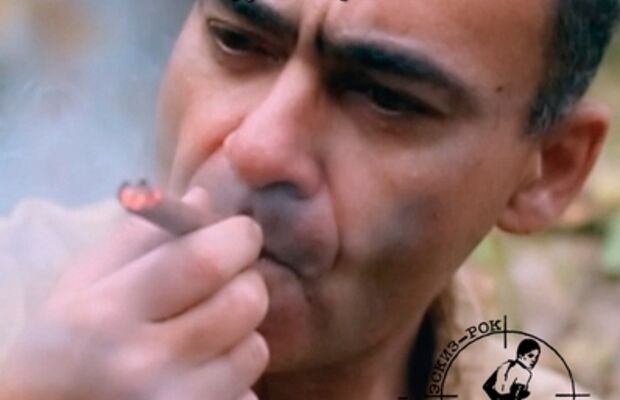 Третье насекомое