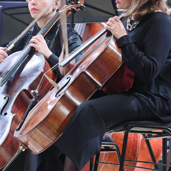 *2.6 Серенады Моцарта