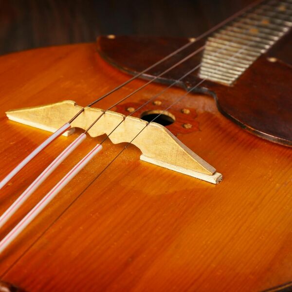 Весна-красна и серая туча