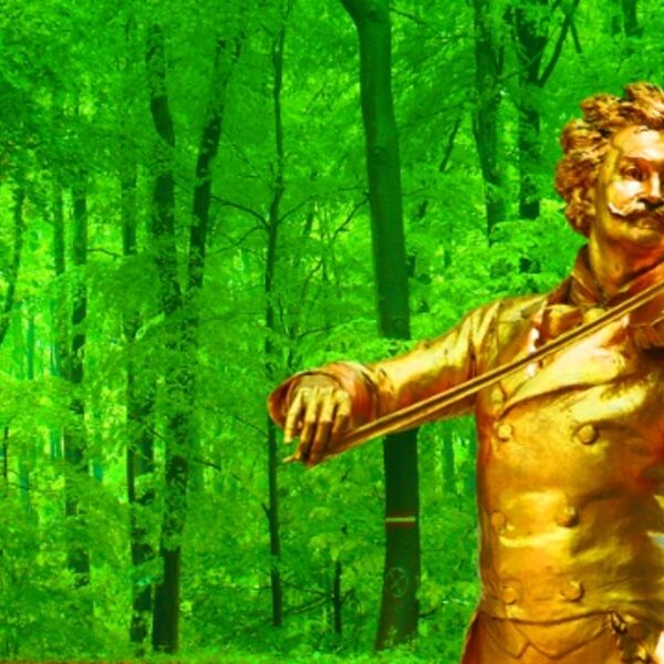 Штраус-гала. Сказки Венского леса