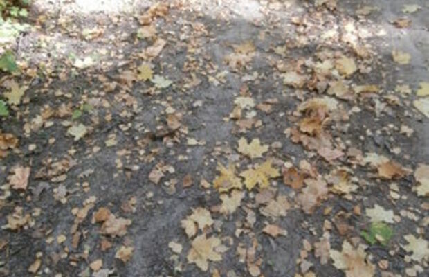 Сентябрьский