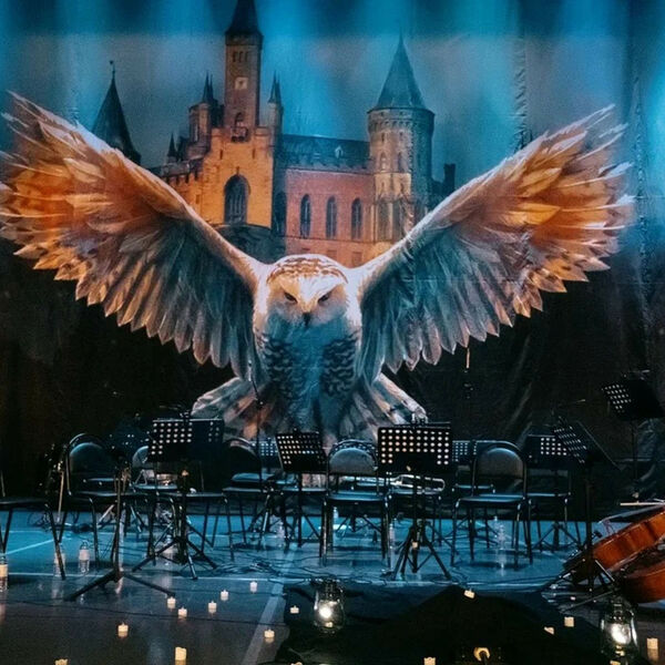 Harry Potter. Magic Music