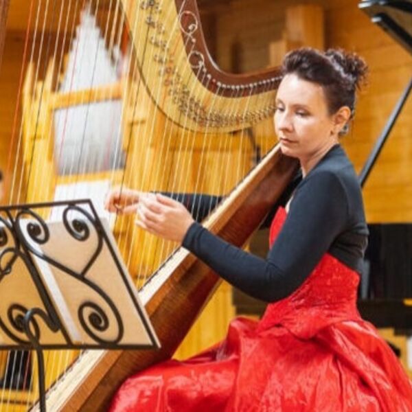 Органные вечера в коломенском. Арфа и орган: от барокко к XX веку