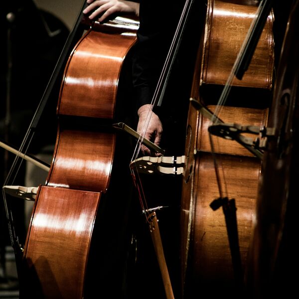 Lana Del Rey в исполнении струнного оркестра