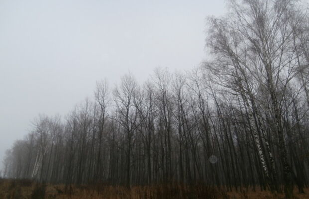 Ноябрьский