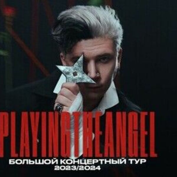 Концерт Playingtheangel