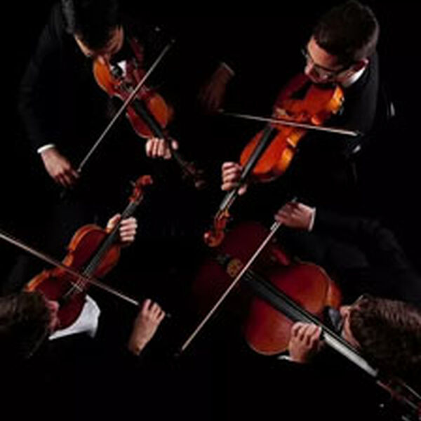 Нескучный квартет+1 /Концерт солистов оркестра Театра Камала