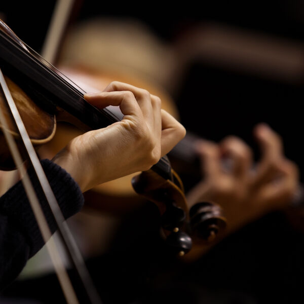 Времена года