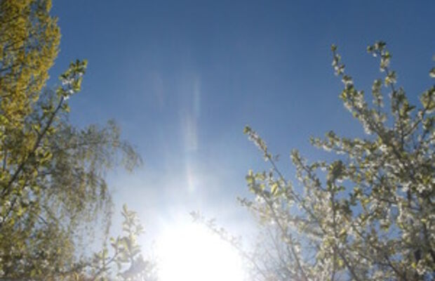 Природа весной-2015