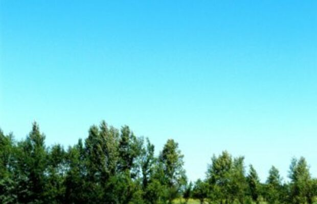 Электричество на природе