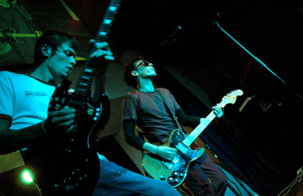 Адаптация Пчёл