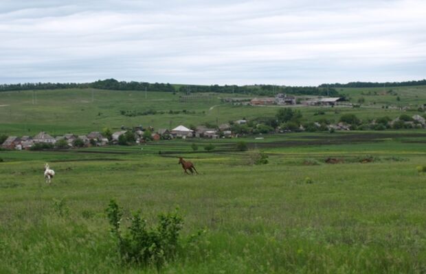 Святогорск (Донецкая обл.)