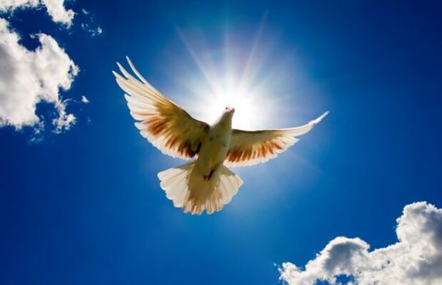 Арман и Асет