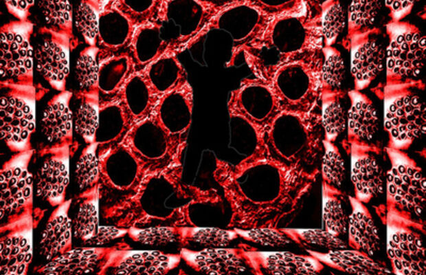 Буклеты альбомов