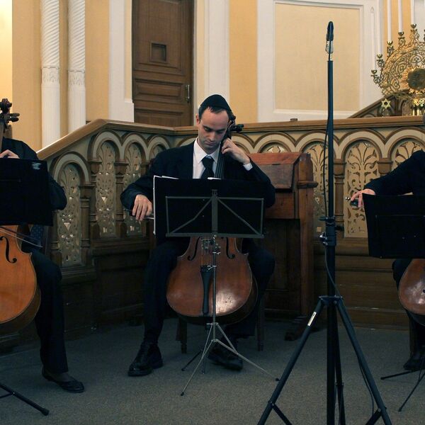 Осенняя симфония виолончелей