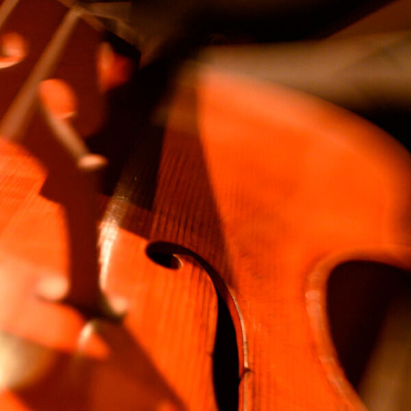 Элгар / Сибелиус