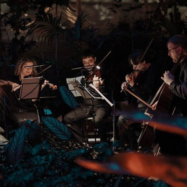 МАГИЯ СВЕЧЕЙ. «От Вивальди до рок-хитов» в Оранжерее