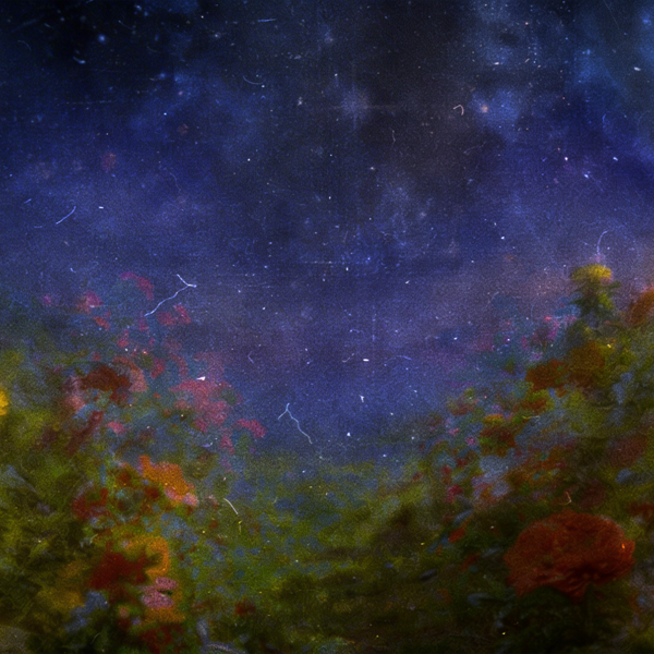 Фестиваль сновидений