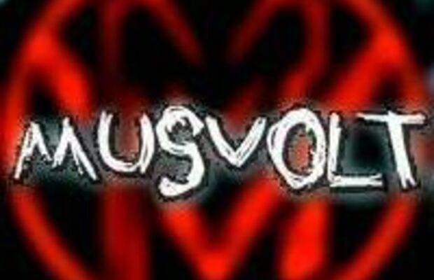 Всего по-немногу