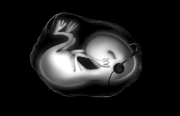 ГОРКА-Презентиция НОВОЙ программы
