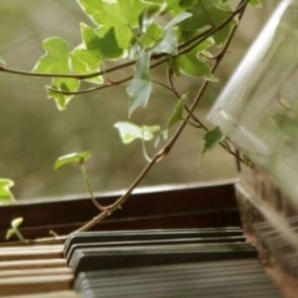 О чем поет весна!