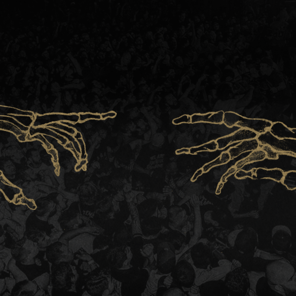 Реюнион фест