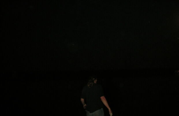 ГАЛЛЮЦИНОГЕН фото